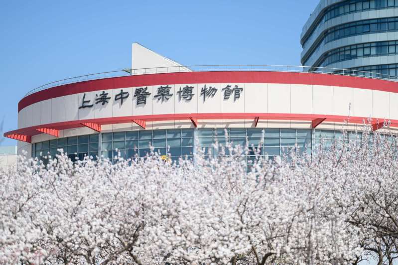 【馆藏】商甲骨文甲片 甲骨文