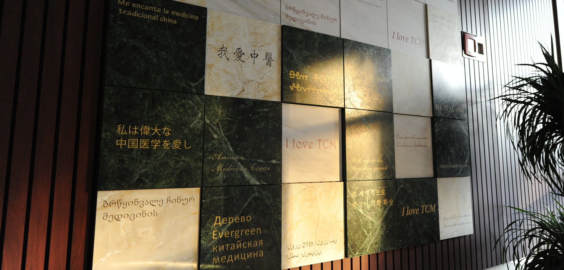 Chinese Language