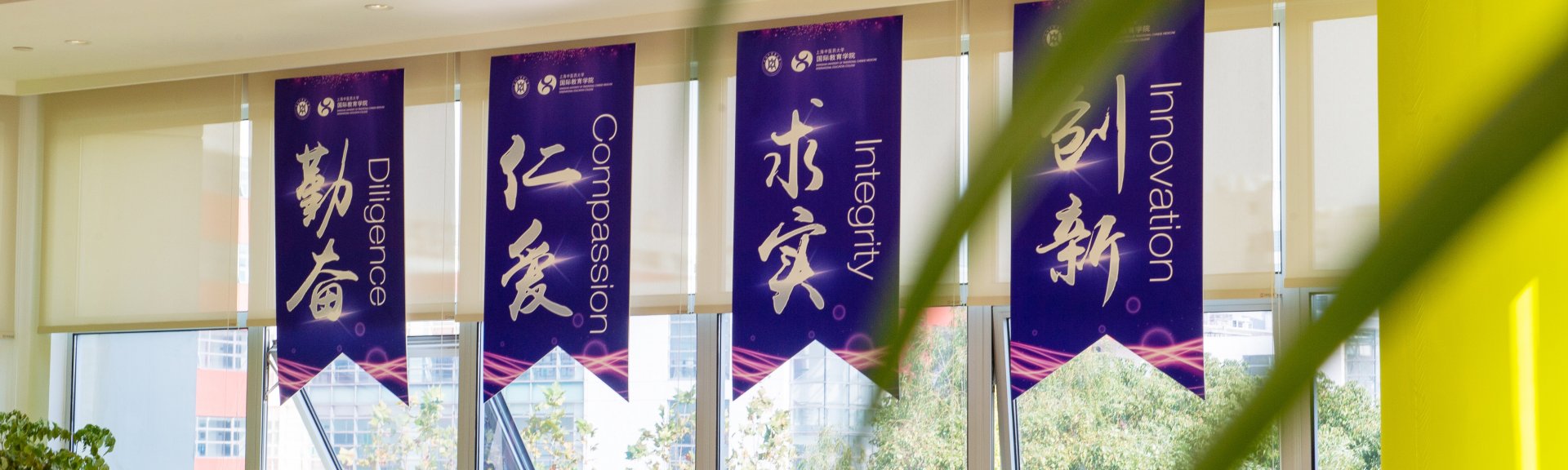 便于结合栏目动态与后续阅读